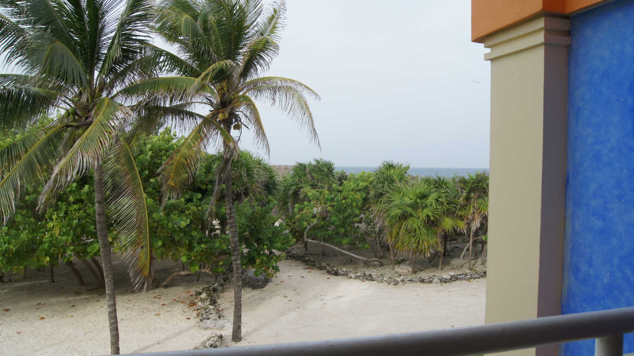   ().     . Bahia Principe - sea view from the villa
